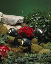 Shop Accent-lights Products