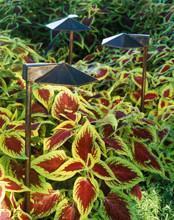 Shop Path-lights Products