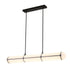 Bethel International 1 Light in Black LED pendant With A Clear Frosted Glass Shade Model: BLT109BLK