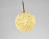 Bethel International 1 Light in Brass Steel Single Pendant With Clear Crystal Beaded Ball Model: GL458P6BR