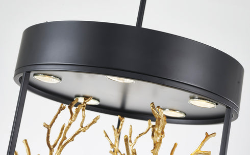 Bethel International 5 Light in Matte Black Pendant With Gold Branch Accents Model: KA01C16G