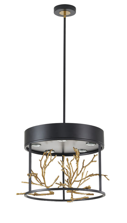 Bethel International 5 Light in Matte Black Pendant With Gold Branch Accents Model: KA01C16G