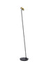 Bethel International in Black and Stain Brass LED Floor Lamp Model: MU149F64BR