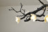 Bethel International in Black Chandelier Model: CC04C63BR