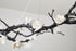 Bethel International in Black Chandelier Model: CC04C63BR
