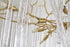 Bethel International in Brass Chandelier Model: CC03C59BR