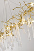 Bethel International in Brass Chandelier Model: CC05C55BR