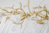 Bethel International in Brass Chandelier Model: CC05C55BR