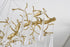 Bethel International in Brass Chandelier Model: CC05C55BR