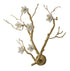 Bethel International in Brass Chandelier Model: CC06C33BR