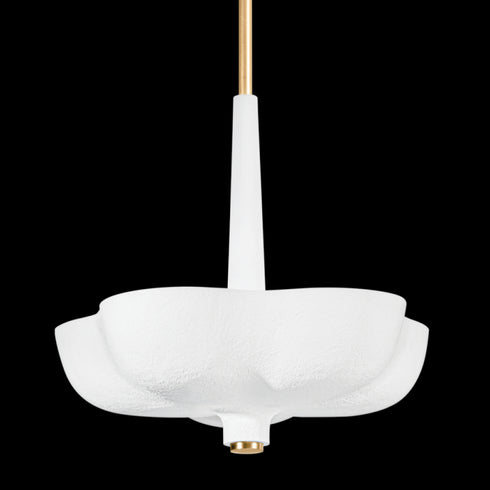Corbett 5 Light Pendant Model: 360-30-GL/GSW
