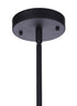 Craftmade Canon 1 Light Outdoor Pendant in Midnight Model: ZA3611-MN