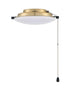 Craftmade Light Kit-Disk 1 Light Universal LED Light Kit in Brushed Polished Nickel Model: LK3102-BNK