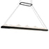 CWI Lighting Himalayas Integrated LED Black Chandelier Model: 1601P62-101