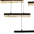 CWI Lighting Integrated LED Black Chandelier Model: 1588P60-14-101