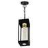 CWI Lighting Rochester LED Integrated Black Outdoor Model: 1696P5-1-101