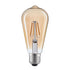 CWI Lighting ST19 Warm White 2700K LED 4 Watt Light Bulb (Set of 10) in Amber Finish Model: ST19K2700W4-10