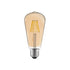 CWI Lighting ST19 Warm White 2700K LED 8 Watt Light Bulb (Set of 10) in Amber Finish Model: ST19K2700W8-10