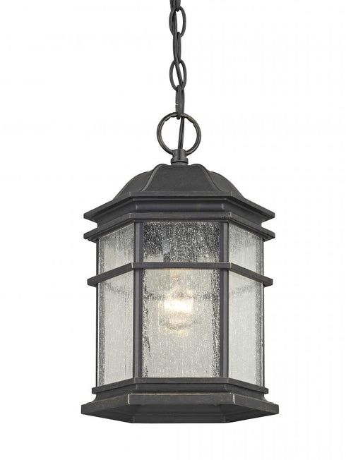 Dolan Designs Barlow Outdoor Hanging in Winchester Model: 9232-68
