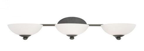 Dolan Designs Rainier 3 Light Bath in Bolivian Finish Model: 3903-78
