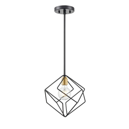 DVI Lighting 1 Light Ashoona Pendant in Buffed Nickel And Ebony Finish Model: DVP44921BN+EB