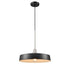 DVI Lighting 1 Light Daisy 16 Inch Pendant in Graphite And Brass Finish Model: DVP46420GR+BR