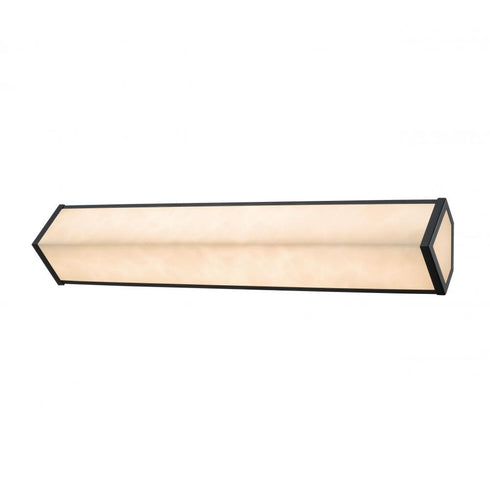 DVI Lighting 1 Light EBRO 24 Inch LED VANITY in Ebony Finish Model: DVP30543EB-AFA