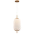 DVI Lighting 1 Light MOUNT PEARL 1 Light PENDANT in Brass Finish Model: DVP40005BR-RIO