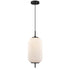 DVI Lighting 1 Light MOUNT PEARL 1 Light PENDANT in Brass Finish Model: DVP40005BR-RIO