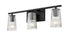 DVI Lighting 3 Light LASALLE 3 Light VANITY in Brass Finish Model: DVP11343BR-RI