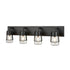 DVI Lighting 4 Light LAKE OF THE WOODS 4 Light VANITY in Ebony and Satin Nickel Finish Model: DVP44444EB+SN-CL