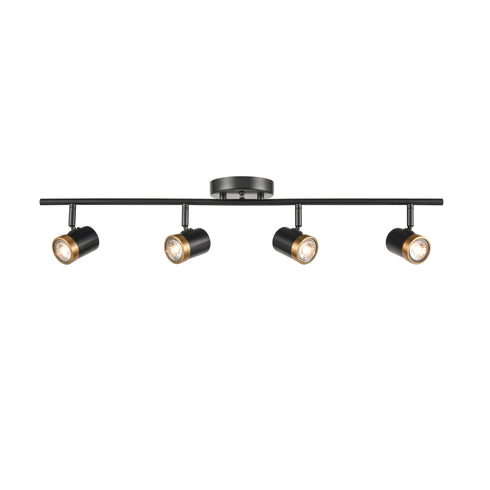 DVI Lighting 4 Light OEIL DE BASE LINEAR TRACK Light in Ebony and Multiple Finishes Finish Model: DVP19987EB+MF