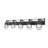 DVI Lighting 5 Light LAKE OF THE WOODS 5 Light VANITY in Ebony and Satin Nickel Finish Model: DVP44455EB+SN-CL