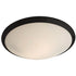 DVI Lighting ESSEX 2 LIGHT FLUSH MOUNT in Buffed Nickel Finish Model: DVP9040BN-OP