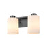 DVI Lighting Manitou 2 Light Vanity in Buffed Nickel Finish Model: DVP47122BN-OP