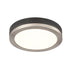 DVI Lighting TEMAGAMI 9 Inch LED FLUSHMOUNT in Brass and Graphite Finish Model: DVP39328BR+GR