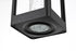 Elegant Lighting 1 Light Amaris 15 inch LED Outdoor Pendant in Black in Black and Clear Finish Model: OD604H15BK