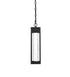 Elegant Lighting 1 Light Amaris 15 inch LED Outdoor Pendant in Black in Black and Clear Finish Model: OD604H15BK