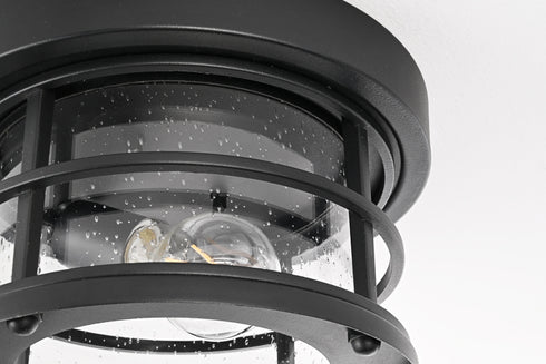 Elegant Lighting 1 Light Carla 10 inch Outdoor Flush Mount in Black in Black and Clear Finish Model: OD614F10BK