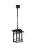 Elegant Lighting 1 Light Harley 12 inch Outdoor Pendant in Black in Black and Clear Finish Model: OD613H11BK
