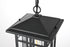 Elegant Lighting 1 Light Harley 12 inch Outdoor Pendant in Black in Black and Clear Finish Model: OD613H11BK
