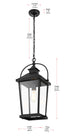 Elegant Lighting 1 Light Luz 21 inch Outdoor Pendant in Black in Black and Clear Finish Model: OD605H20BK