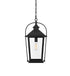 Elegant Lighting 1 Light Luz 21 inch Outdoor Pendant in Black in Black and Clear Finish Model: OD605H20BK