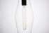 Elegant Lighting 1 Light Placido Collection Pendant D5.9 H14.2 Lt:1 in Black and Clear Finish Model: LDPD2119