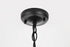 Elegant Lighting 1 Light Veda 13 inch Outdoor Pendant in Black in Black and Clear Finish Model: OD608H13BK