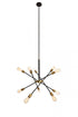 Elegant Lighting 10 Light Axel Collection Chandelier D27.2 H32.5 Lt:10 in Black and Brass Finish Model: LD8003D28BK
