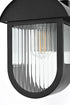 Elegant Lighting Albert 7 inch Outdoor Pendant in Black Model: OD338W13BK