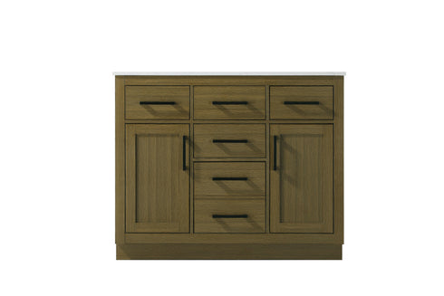 Elegant Lighting Alden Vanity Cabinet 2Dr5Dw 42 Inch W x 22 Inch D x 35 Inch H in Chestnut Brown Model: VF29742MCB