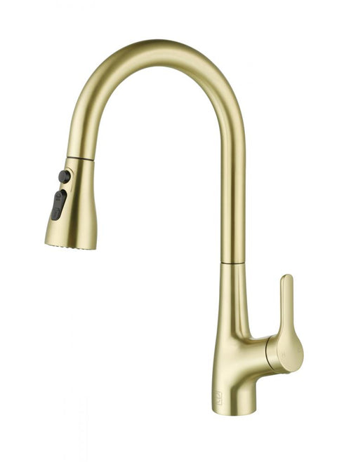Elegant Lighting Andrea Single Handle Pull Down Sprayer Kitchen Faucet in Brushed Gold Model: FAK-305BGD