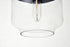 Elegant Lighting Ashwell 1 Light Black Pendant With Clear Glass in Black and Clear Finish Model: LD2241BK